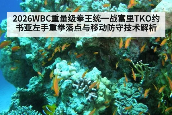 2026WBC重量级拳王统一战富里TKO约书亚左手重拳落点与移动防守技术解析