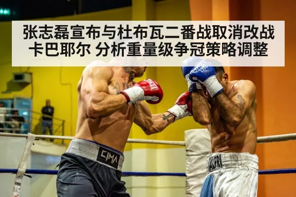张志磊宣布与杜布瓦二番战取消改战卡巴耶尔 分析重量级争冠策略调整